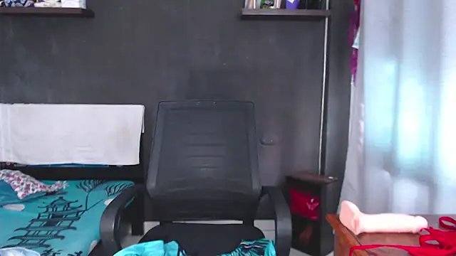 SusanLeroy webcam