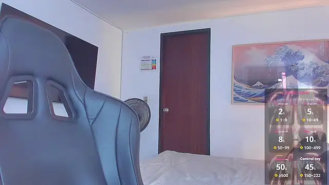 RJBarto webcam