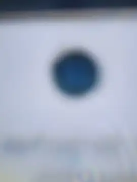 CrystalLime6411 webcam