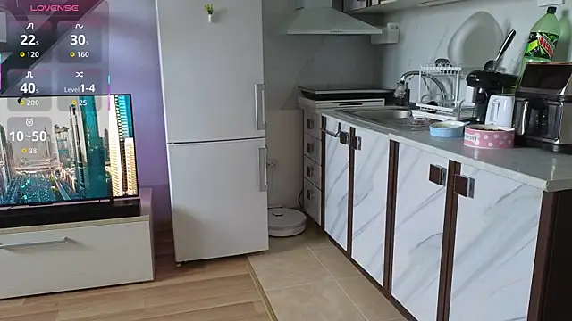 RyanStorm_ webcam