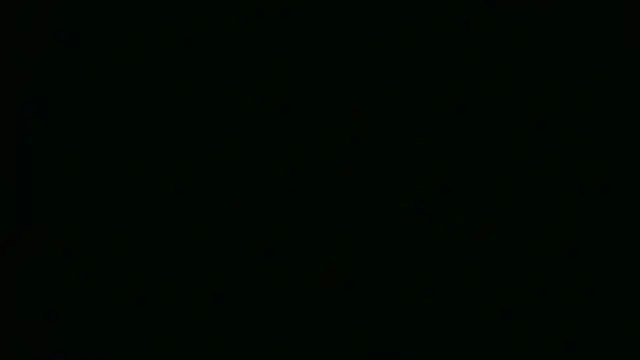 SylviaSunday webcam