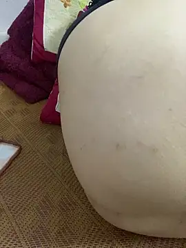 Anna-babu webcam