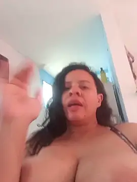 lapatronav2026 webcam