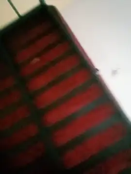 luckyanicia webcam