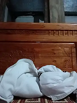 Ht_orio webcam