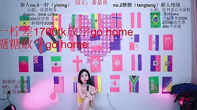CCTW-100 webcam