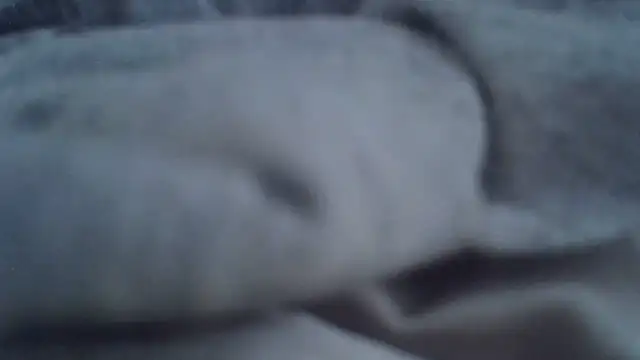 ViraVrema webcam