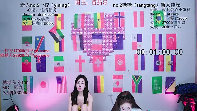 CCTW-100 webcam