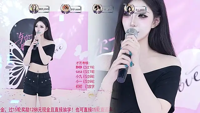TY-002 webcam