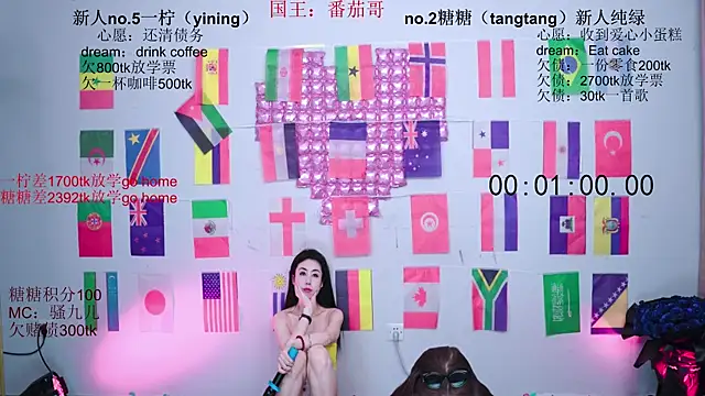 CCTW-100 webcam