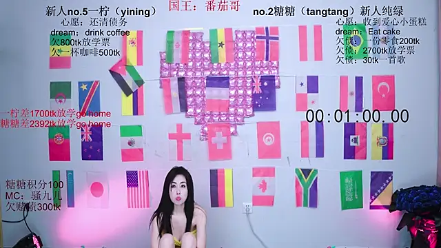 CCTW-100 webcam
