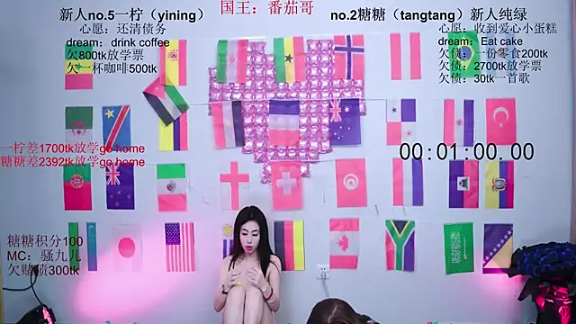 CCTW-100 webcam