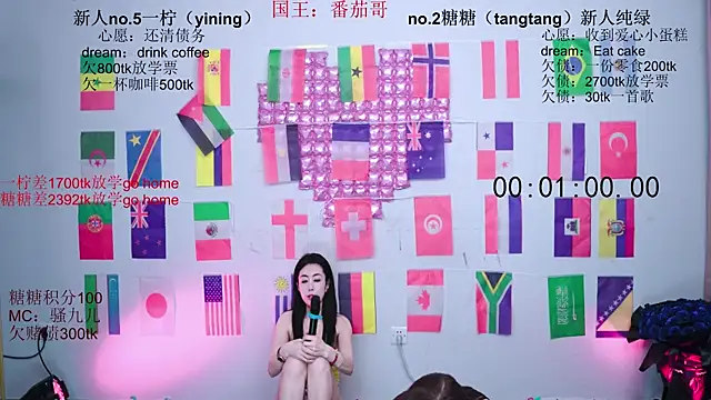 CCTW-100 webcam