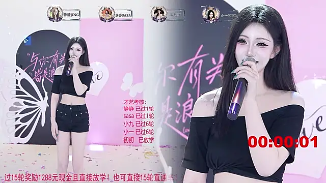 TY-002 webcam