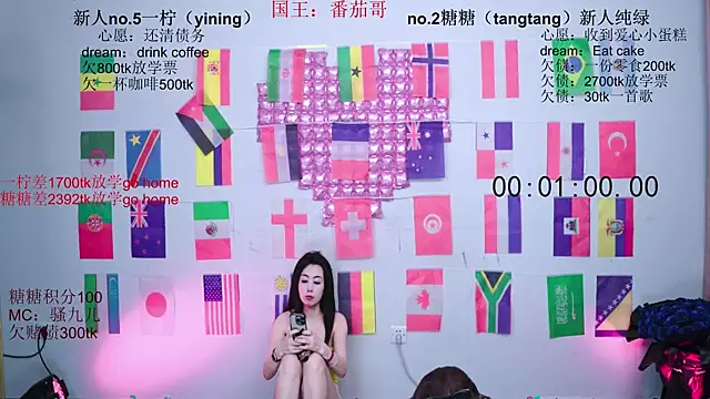 CCTW-100 webcam