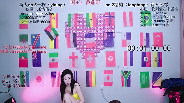 CCTW-100 webcam