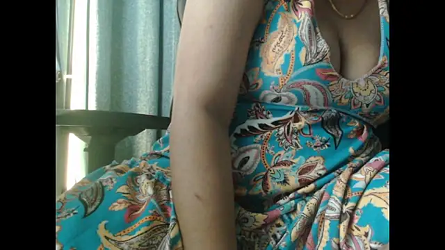 Model29 webcam