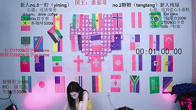 CCTW-100 webcam
