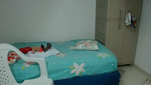 Agatha_browser webcam