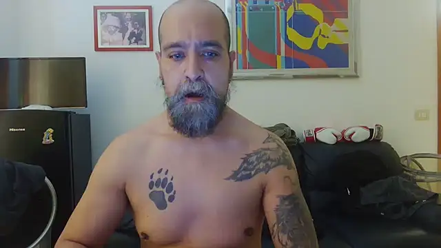 AMIRDIB2025 webcam