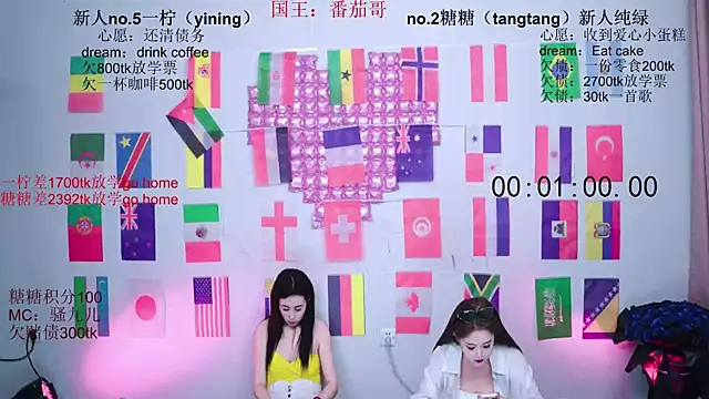 CCTW-100 webcam