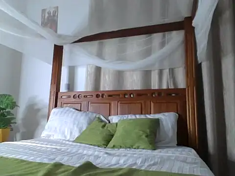 Blooming_Spark_ webcam