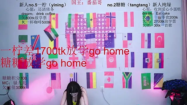 CCTW-100 webcam