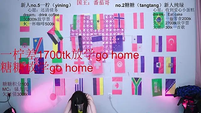CCTW-100 webcam