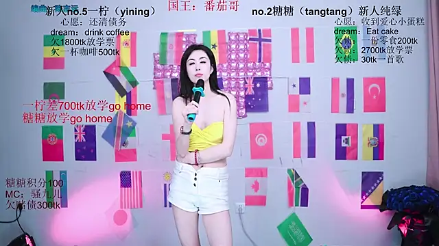 CCTW-100 webcam
