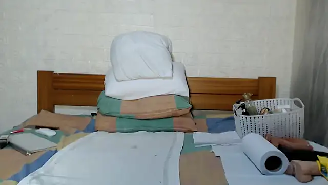 awild_kitten webcam
