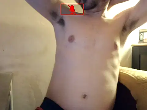 Hgay6935 webcam