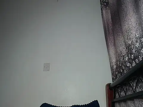 Whimsicalwillow webcam
