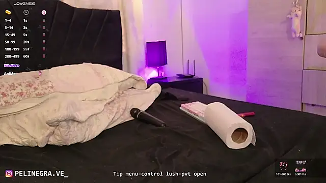 rubicarter webcam