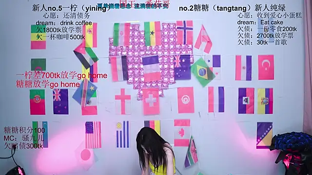 CCTW-100 webcam