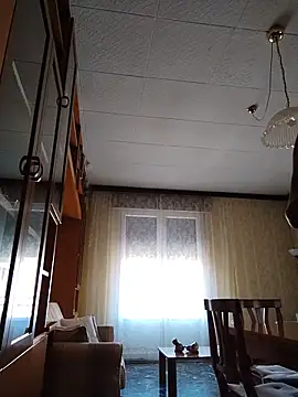 S2253 webcam