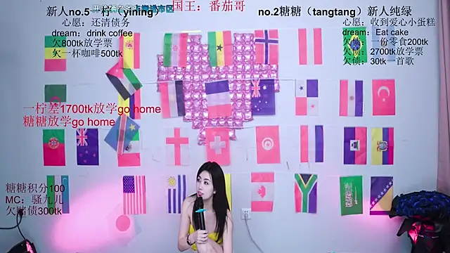 CCTW-100 webcam