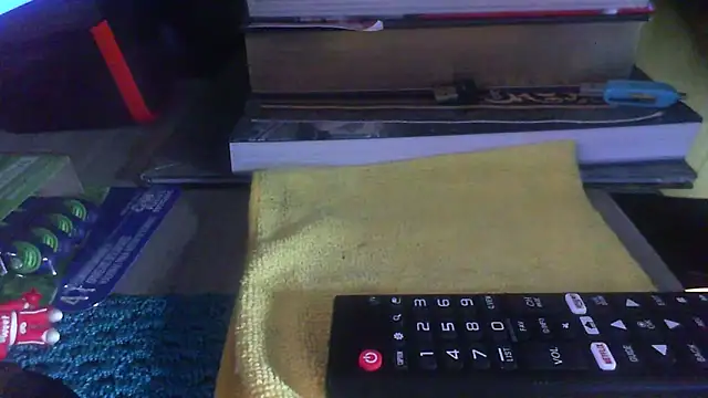 Carte1921 webcam