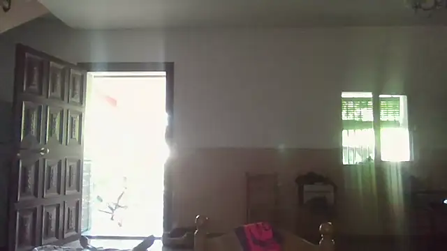 llopaco webcam
