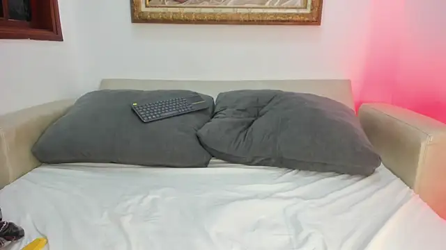 Sunny_OS webcam