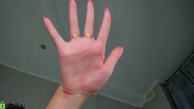 Riddle_Lay webcam