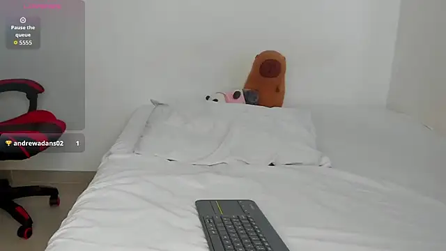 DrakeSmith_ webcam