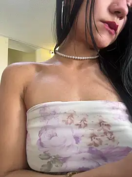 Dakota-fire webcam