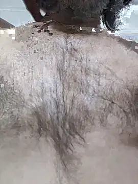 india_cobra webcam