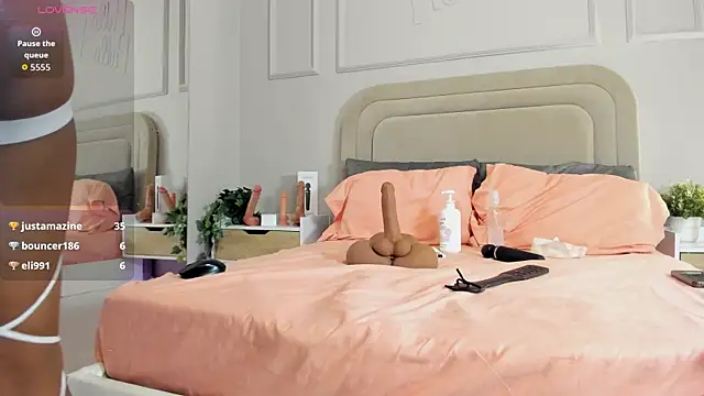 Liastarkk webcam