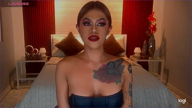 StellaStrong30 webcam