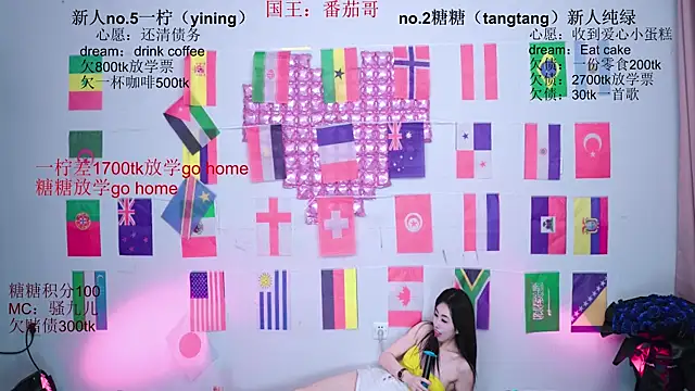 CCTW-100 webcam