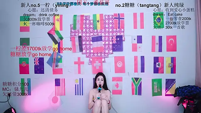 CCTW-100 webcam