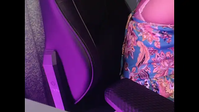 Model29 webcam