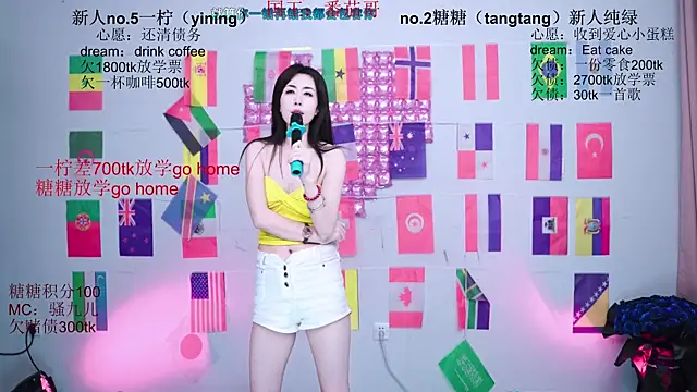 CCTW-100 webcam