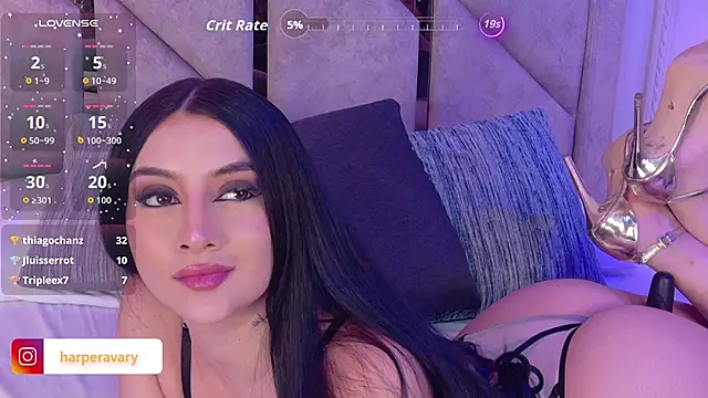 Harper-Avary webcam